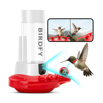Birdfy hummingbird bird feeder
