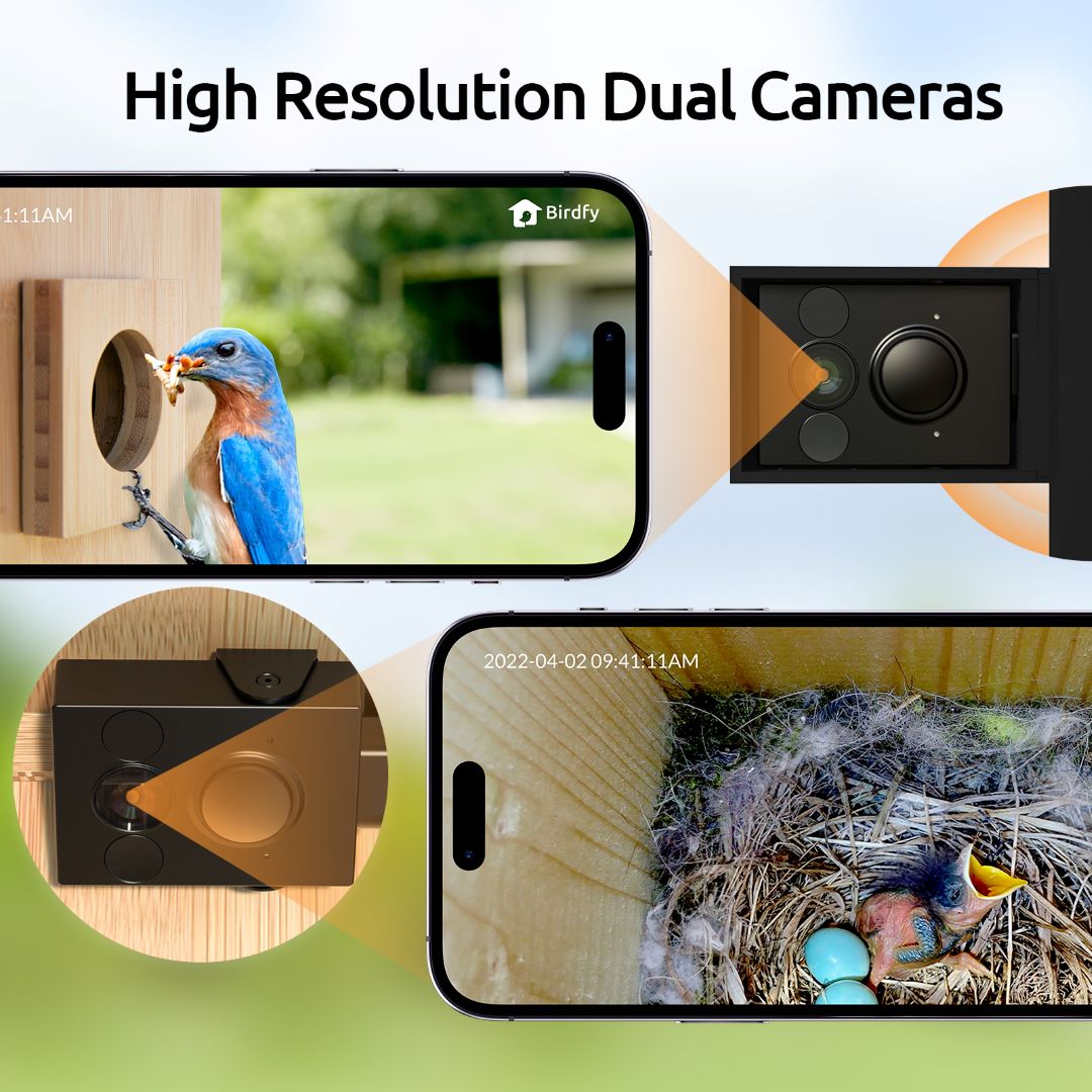 Birdfy Nest - Smart Bird House with Dual Cameras