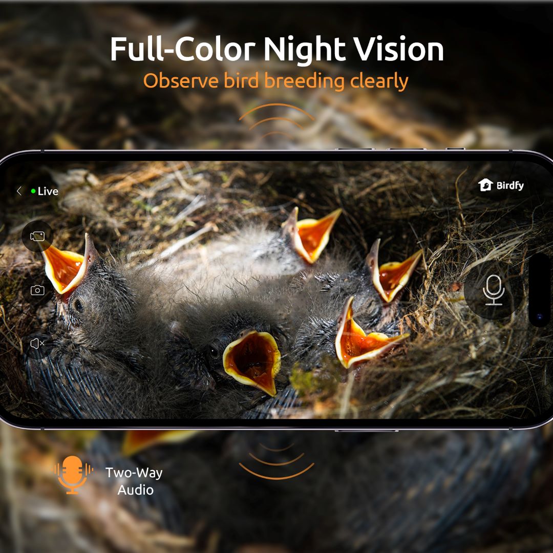 [Pre-order] Birdfy Nest Christmas Special