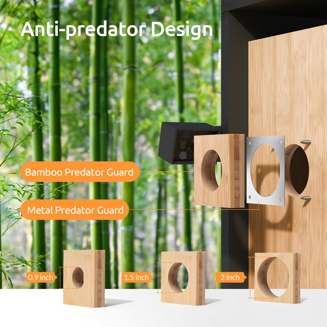 [Pre-order] Birdfy Nest Christmas Special