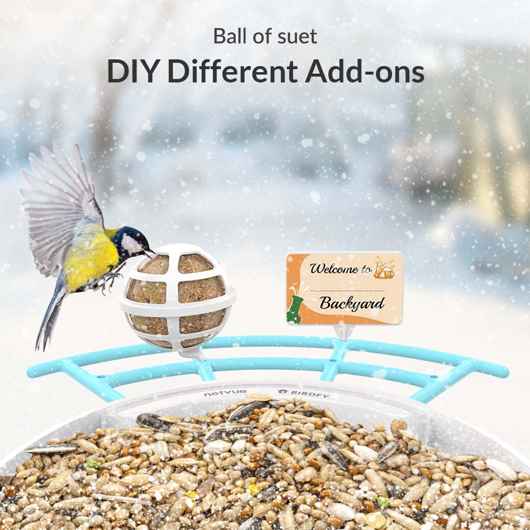 Birdfy Perch Pro Extension - Bird Feeder Extension