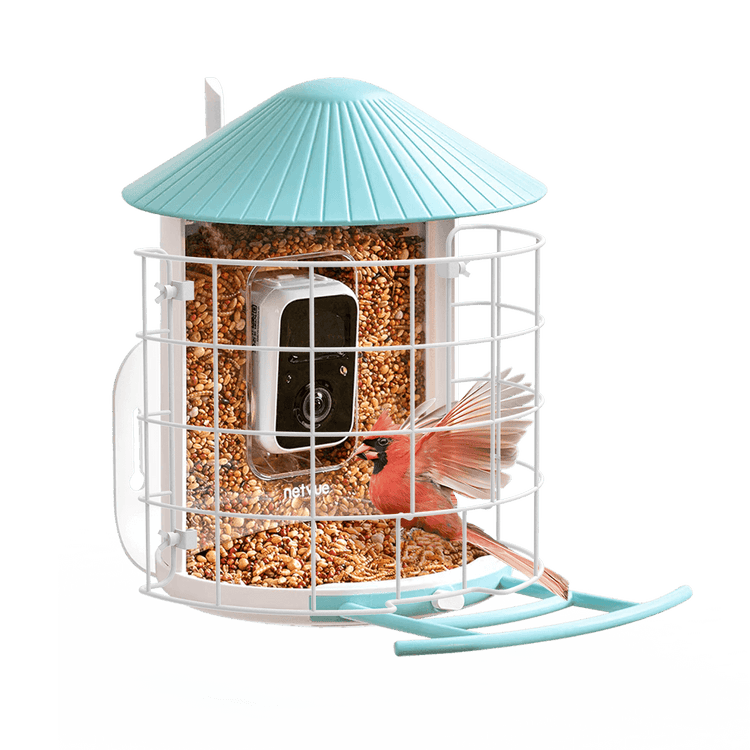 Birdfy Shield - Bird Feeder Shield