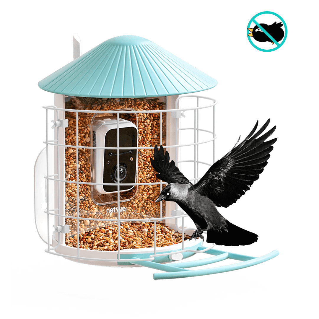 Birdfy Shield - Bird Feeder Shield