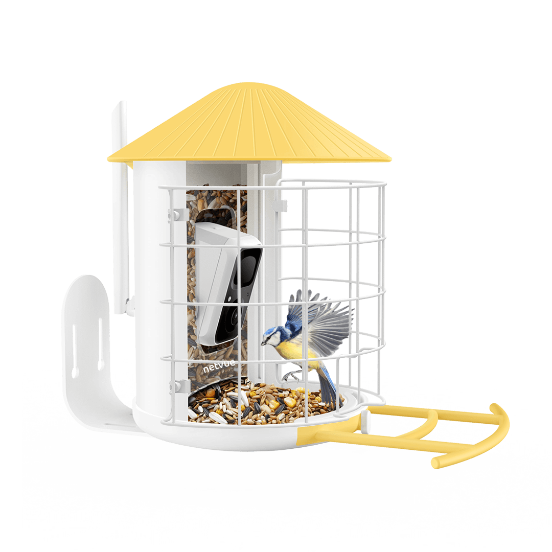 Birdfy Shield - Bird Feeder Shield