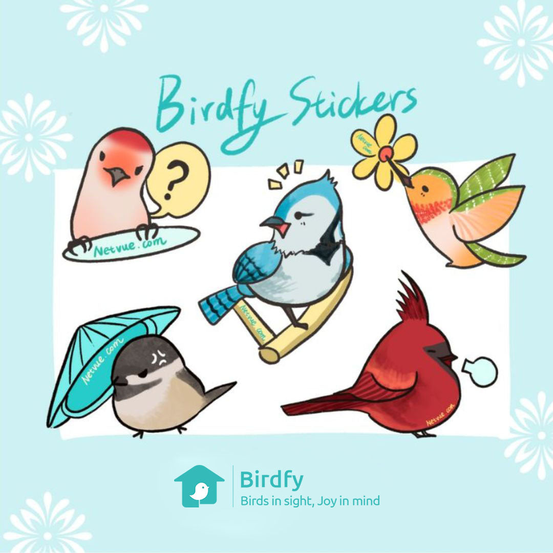 Birdfy Stickers
