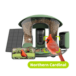 Birdfy feeder2 duo