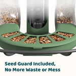 Birdfy feeder2 duo