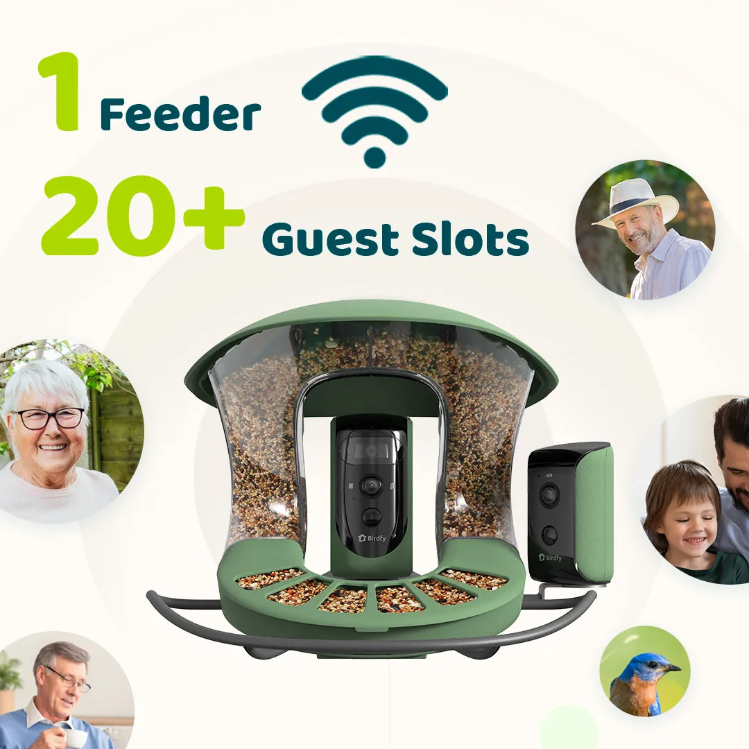 Birdfy feeder2 duo