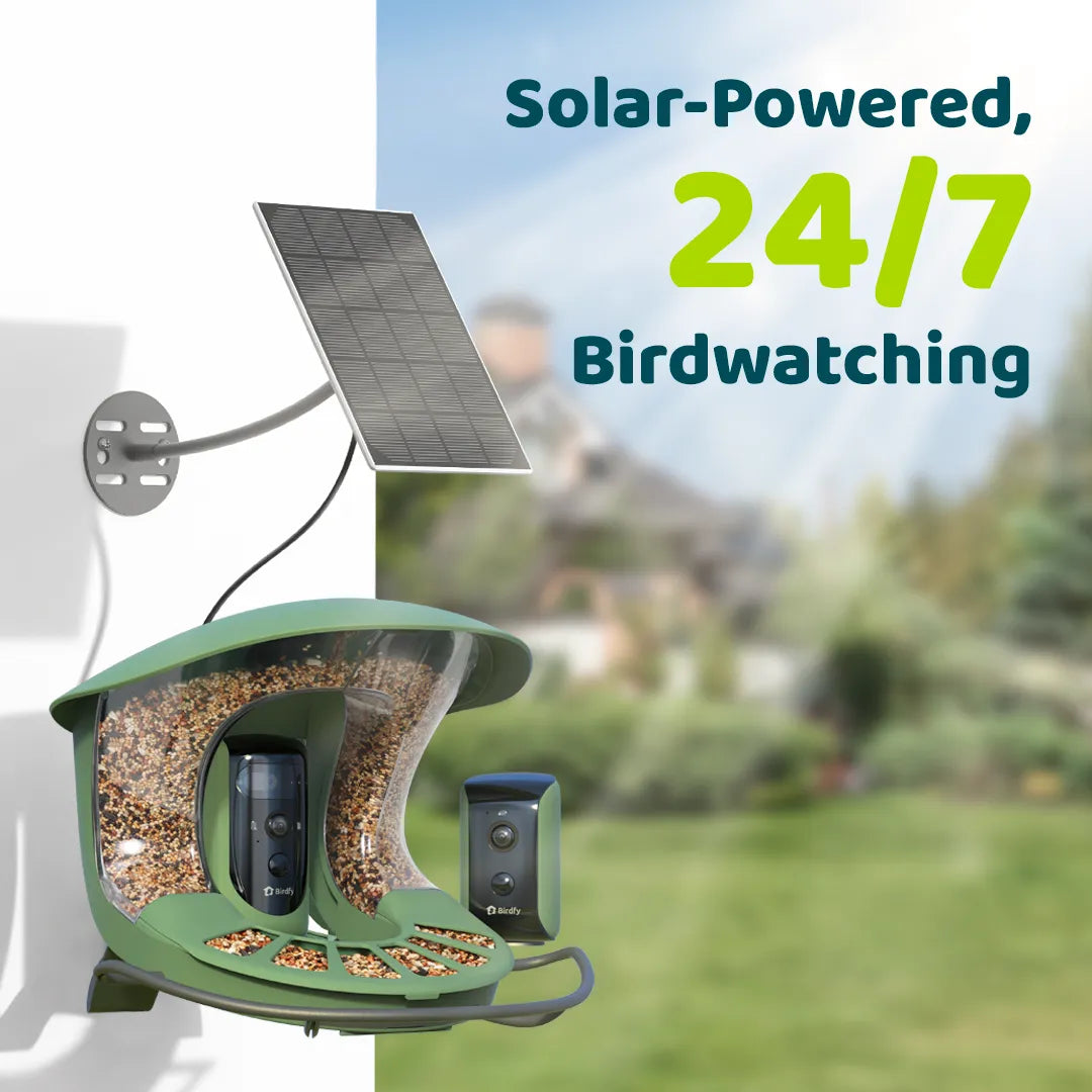 Birdfy feeder2 duo