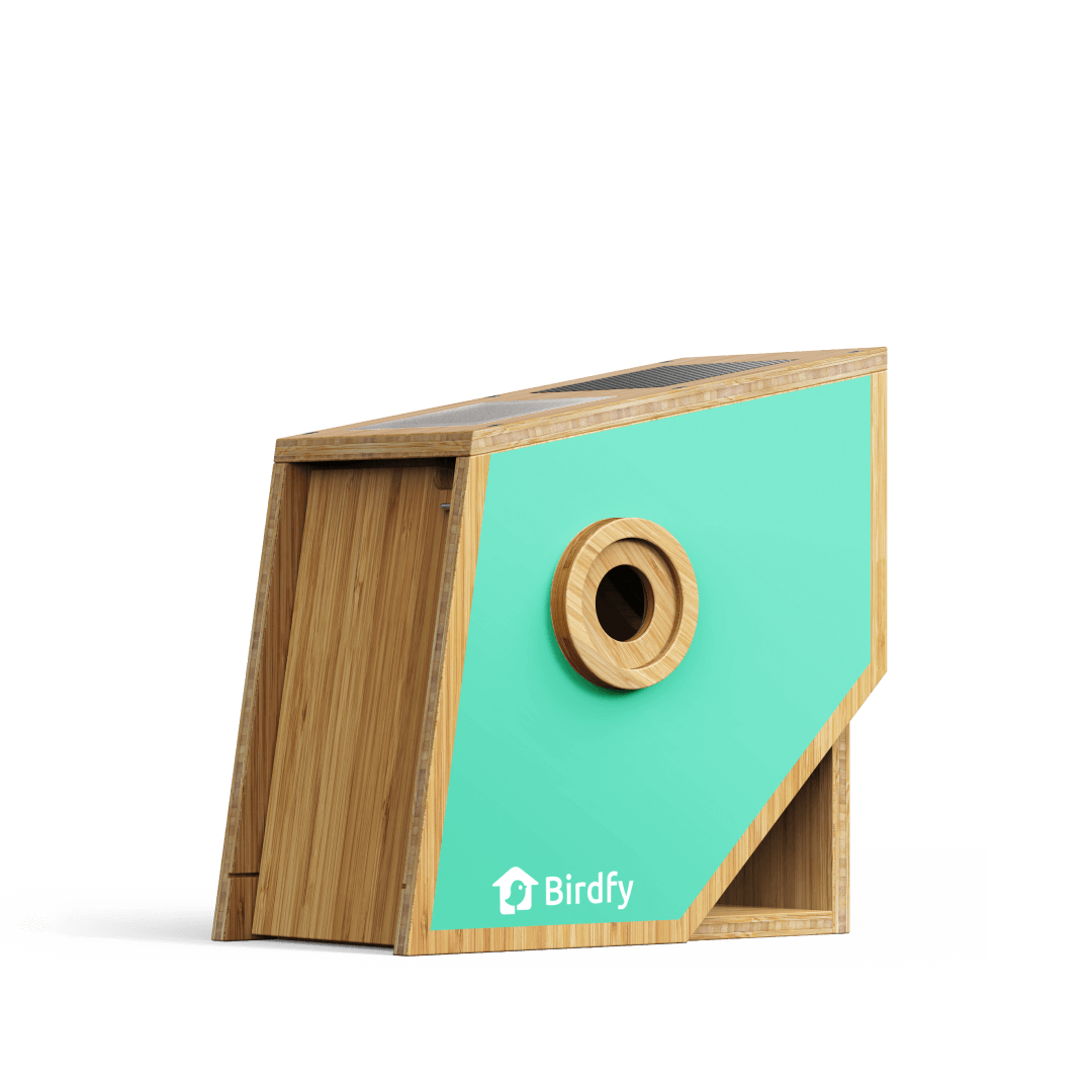Birdfy Nest Polygon - Smart Birdhouse with Camera