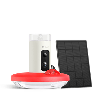 Birdfy hummingbird feeder mini