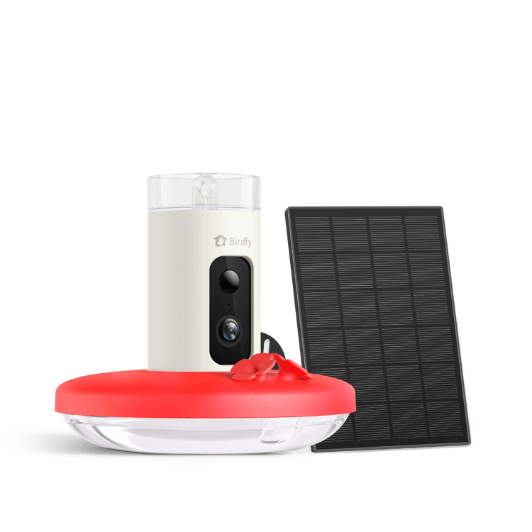 Birdfy Hum Feeder - Hummingbird Feeder with Camera
