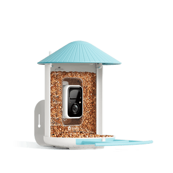 Birdfy Feeder 1 - AI Smart Bird Feeder with Camera