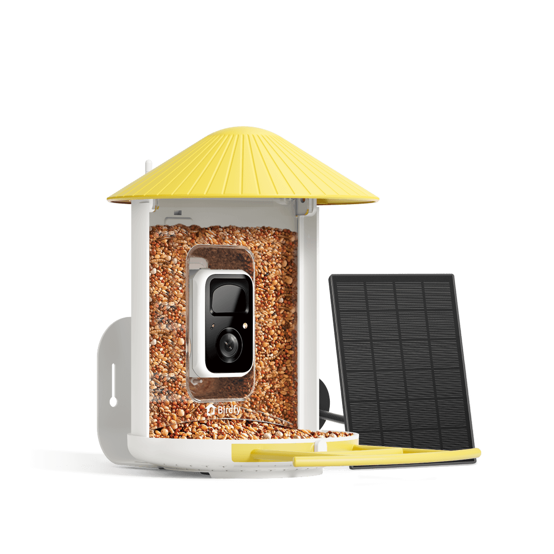 Birdfy Feeder with Solar Panel - Solar-Powered Smart Bird Feeder with Camera