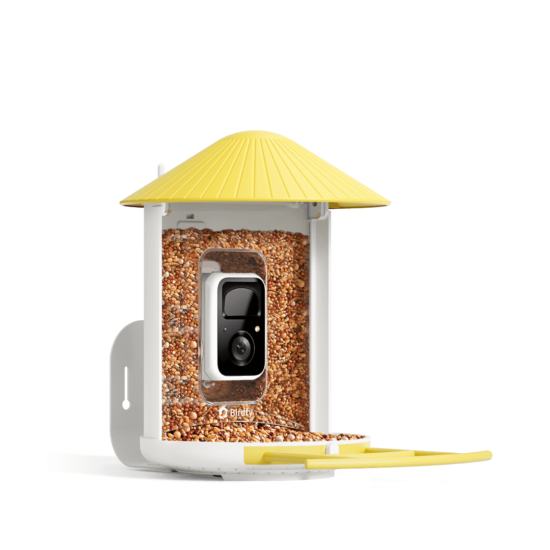 Birdfy Feeder - AI-Powered Smart Bird Feeder with Camera-Yellow