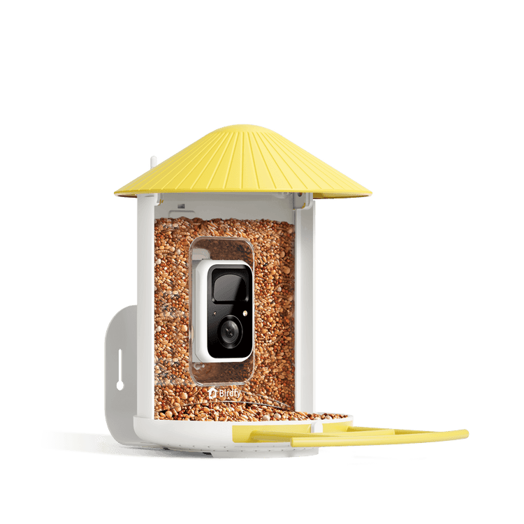 Birdfy Feeder - AI-Powered Smart Bird Feeder with Camera-Yellow