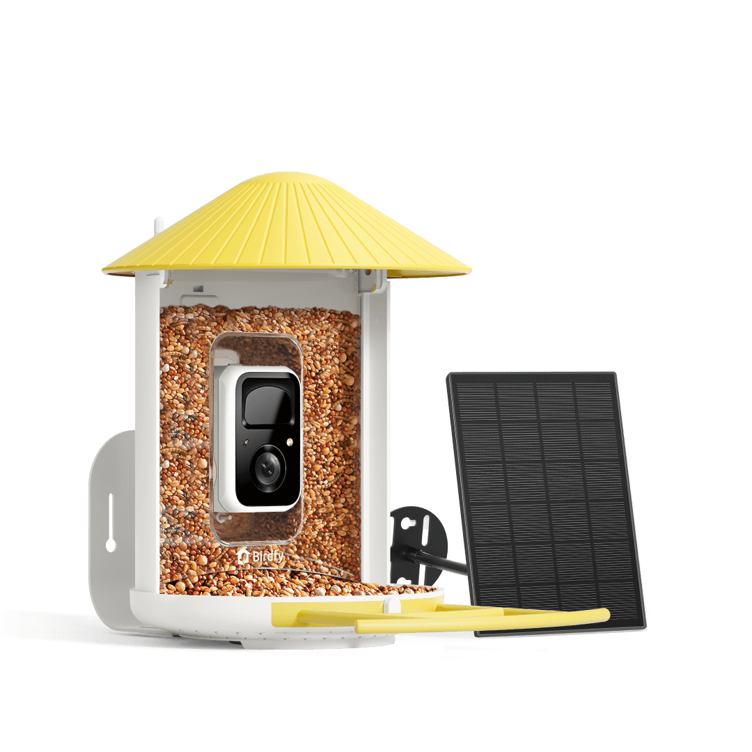 birdfy_feeder_with_solar_yellow