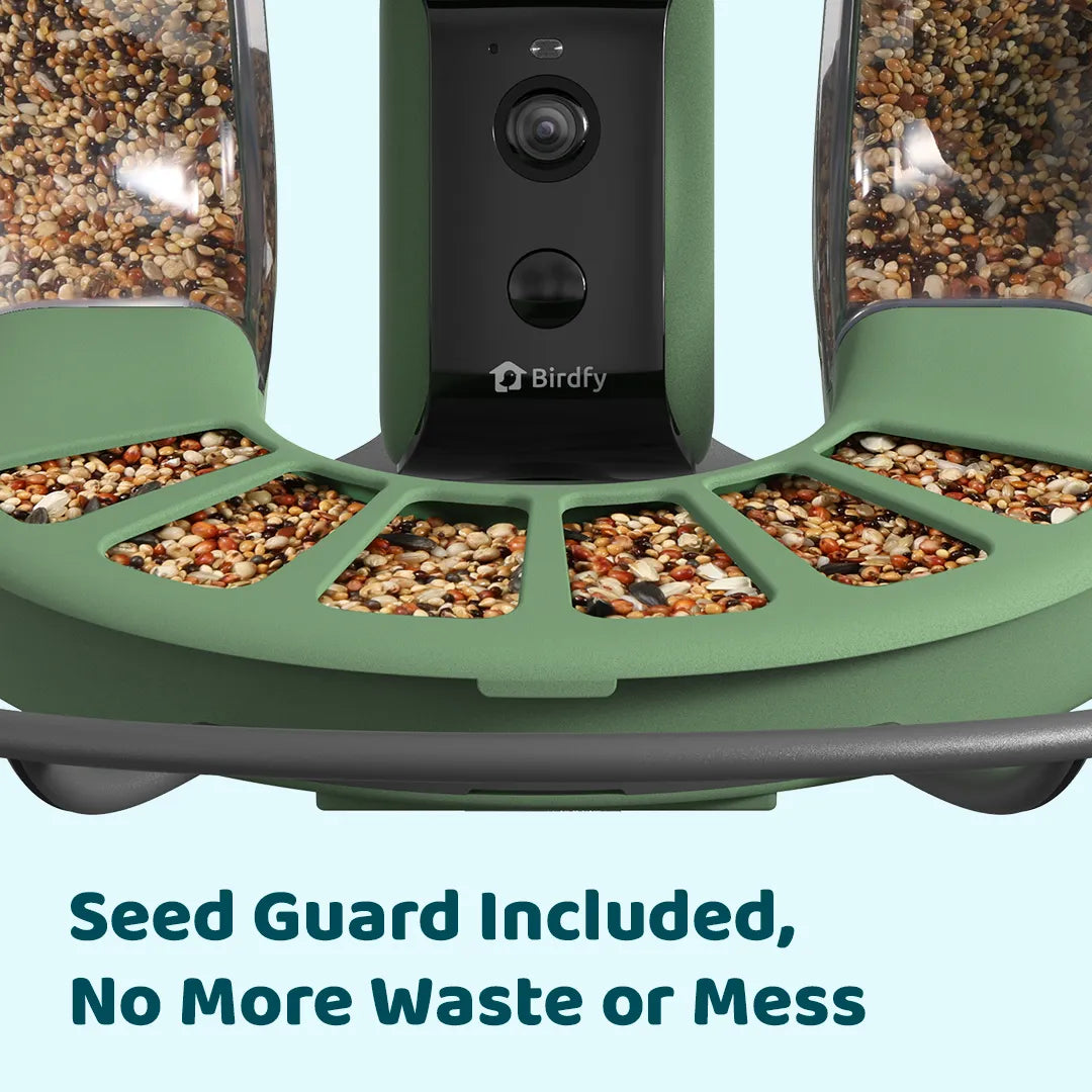 Birdfyfeeder2