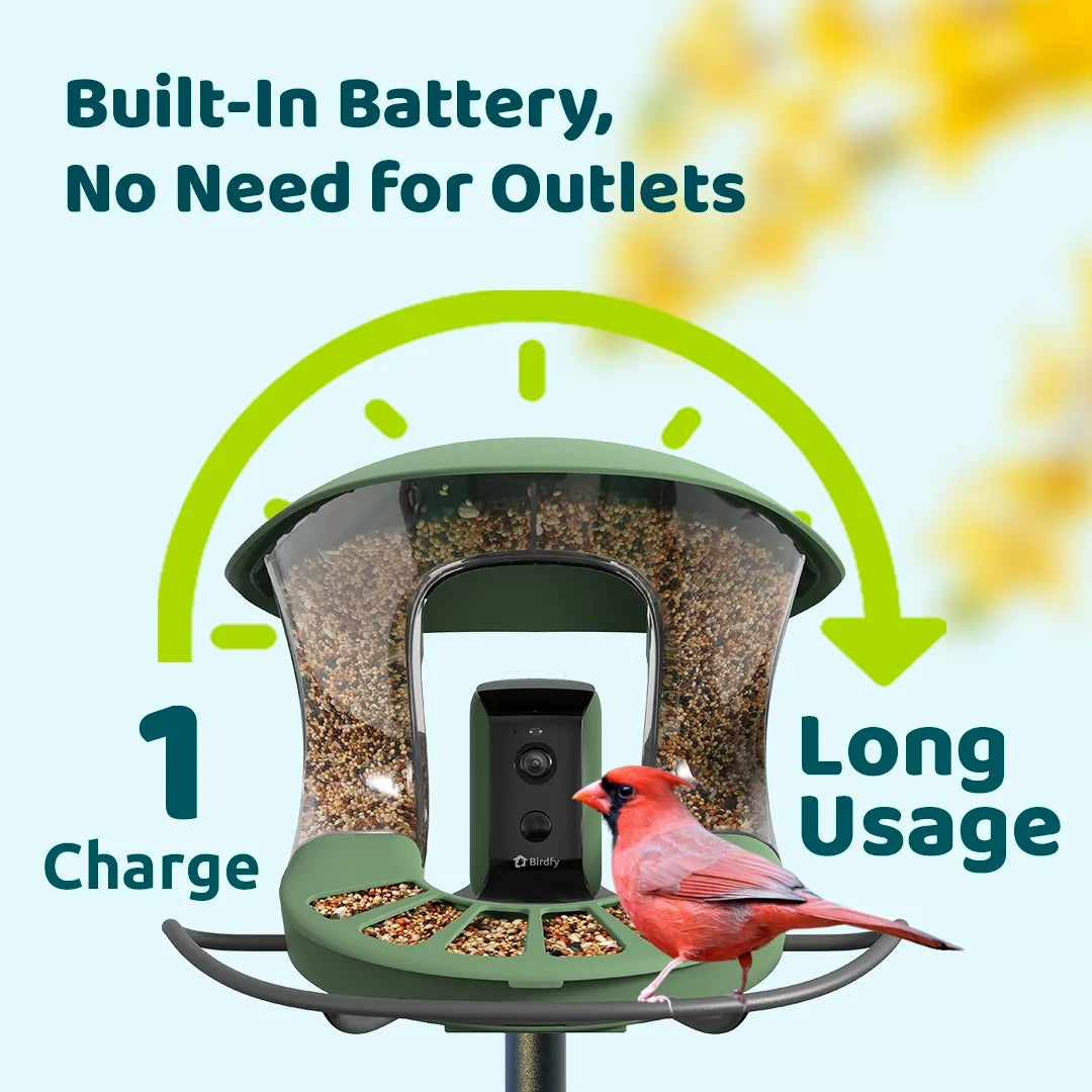 Birdfyfeeder2