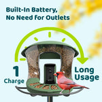 Birdfyfeeder2