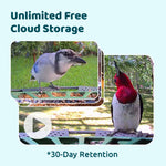 Birdfyfeeder2
