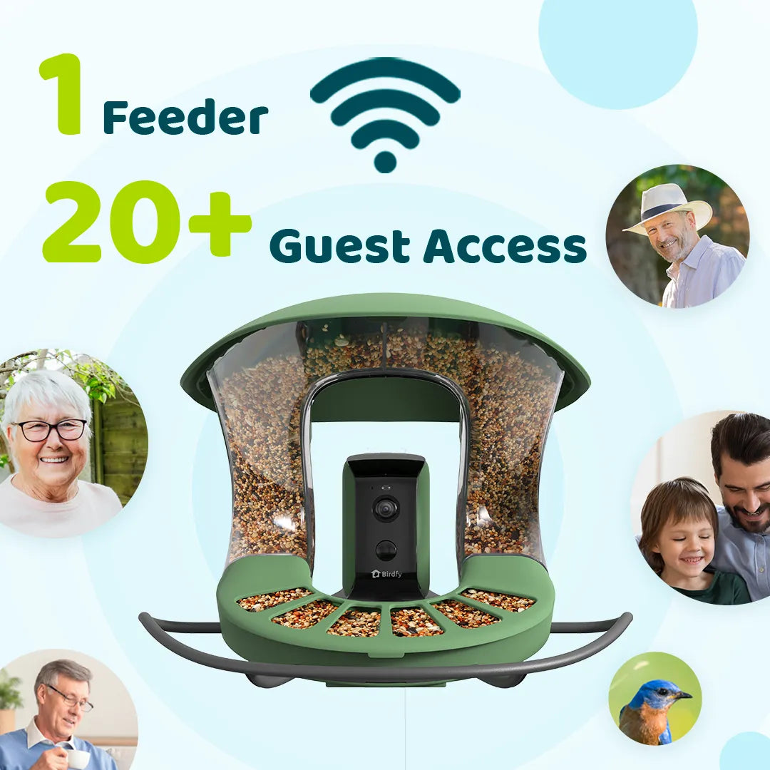 Birdfyfeeder2