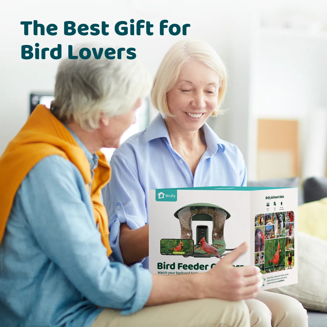Birdfyfeeder2