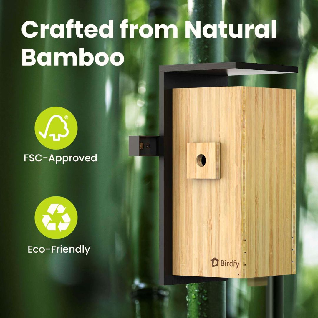 Birdfy Nest Duo - Smart Bird House with Dual Cameras