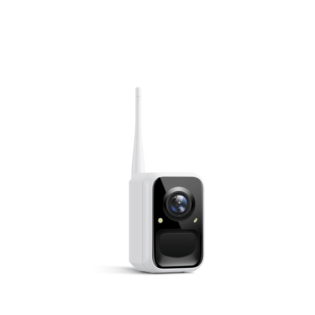 Birdfy Cam - Versatile Standalone Backyard Birdwatching Camera