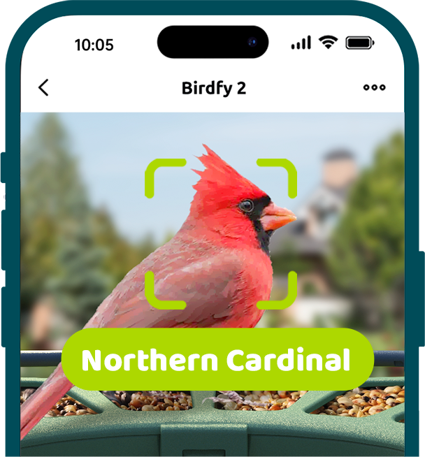 Birdfy Feeder 2 - Smart Bird Feeder