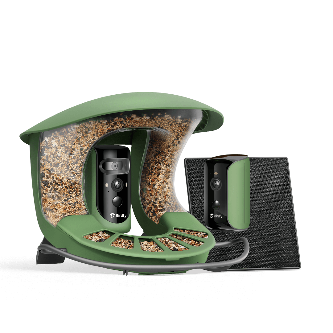 Birdfy Feeder 2 Duo - Bird Feeder with Camera