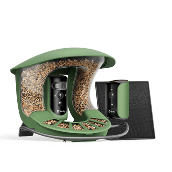 Birdfy Feeder 2 Duo