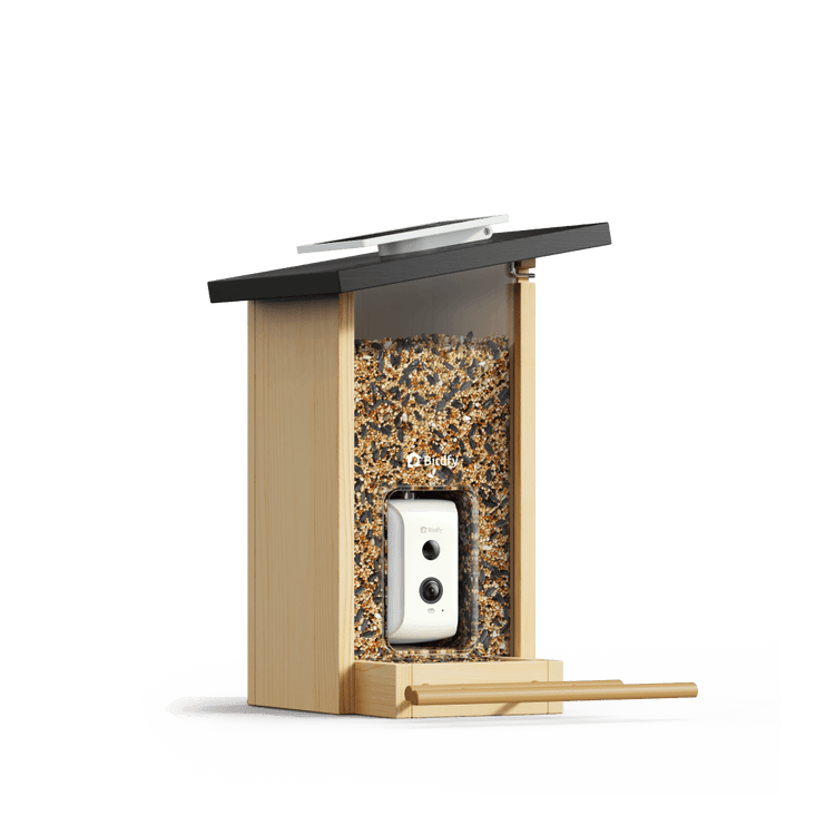 Birdfy Feeder Ebony - Wooden Smart Bird Feeder