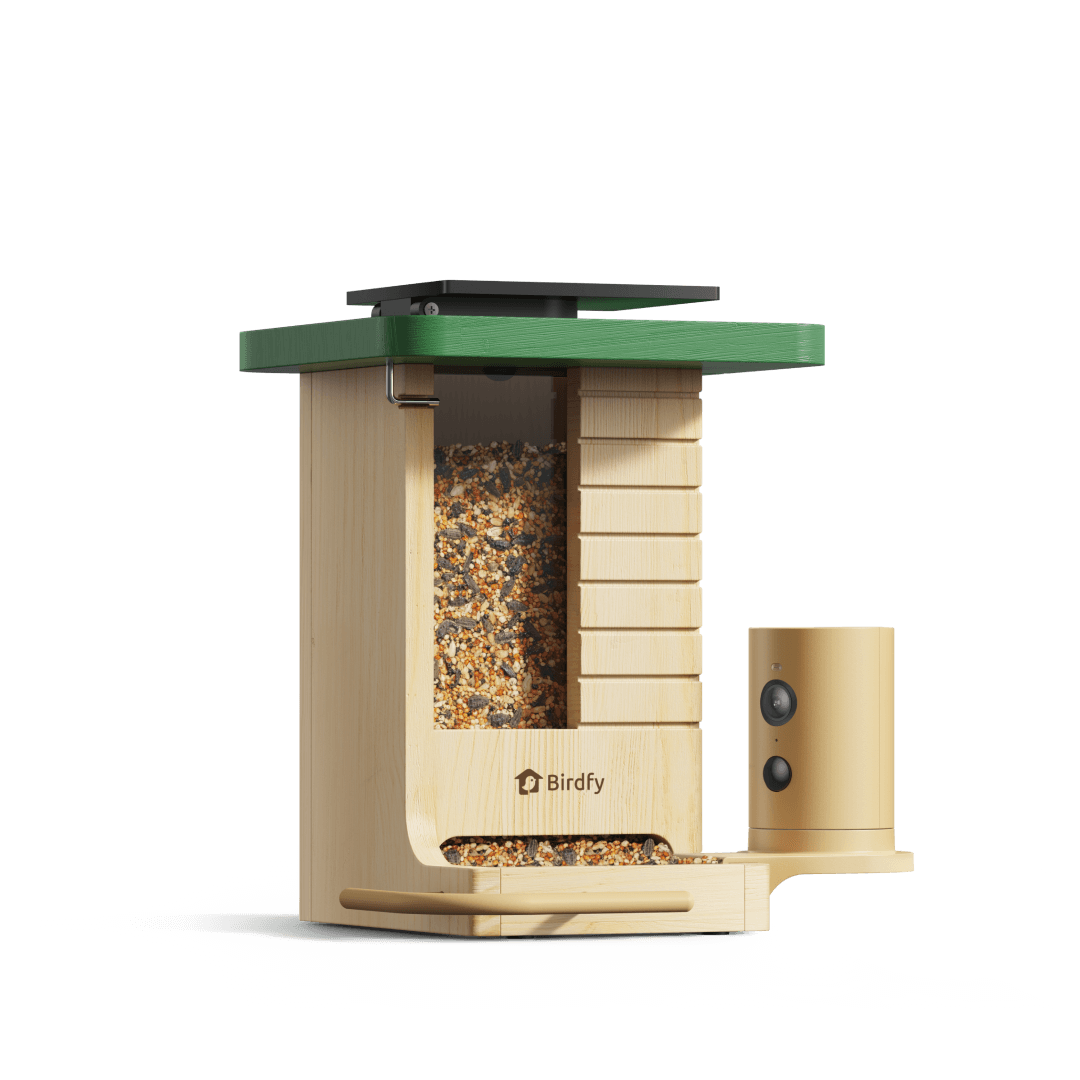 Birdfy Feeder Wood - Wooden Smart Bird Feeder with Camera