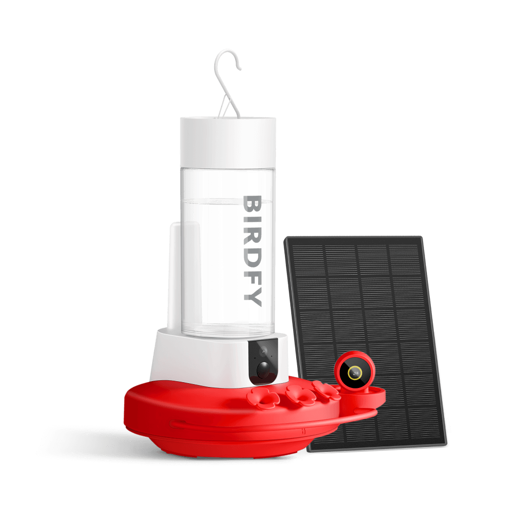 Birdfy Hum Feeder Duo - Hummingbird Feeder with Dual Camera