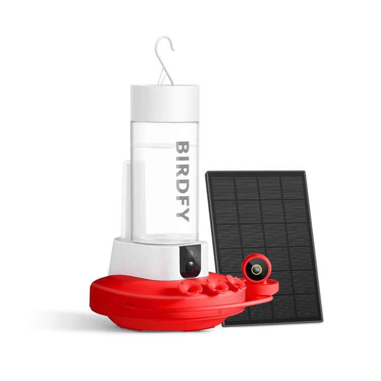 Birdfy Hum Feeder Duo - Hummingbird Feeder with Dual Camera
