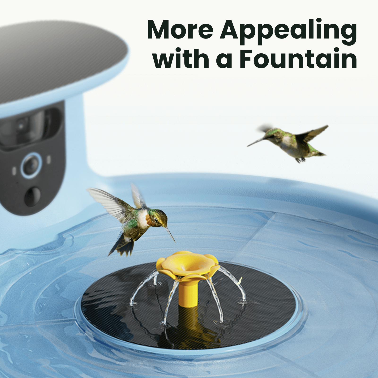 Hum Bathing Set for Birdfy Bath Pro - Hummingbird & Small Bird Bathing Plates