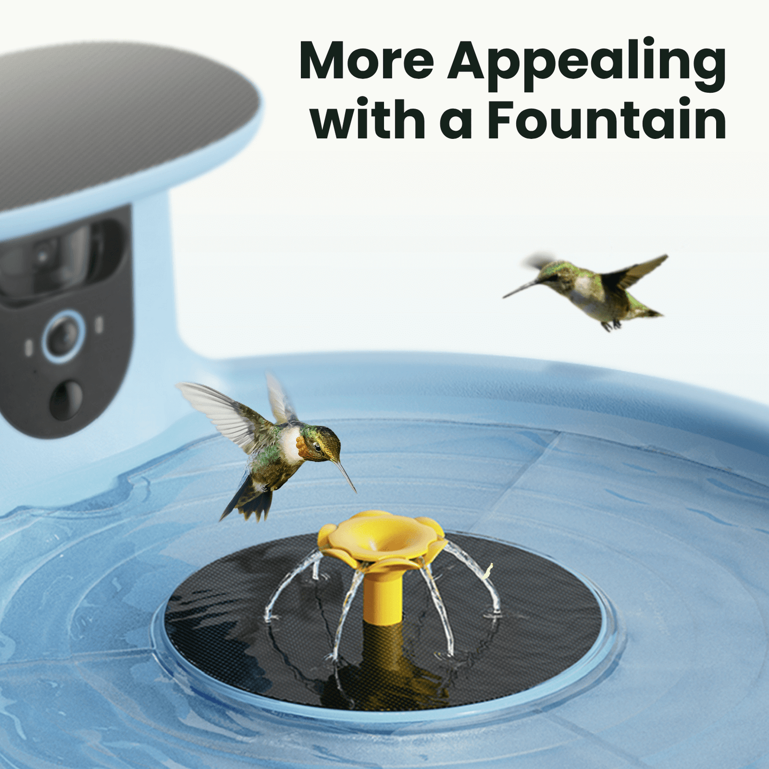 Hum Bathing Set for Birdfy Bath Pro - Hummingbird & Small Bird Bathing Plates