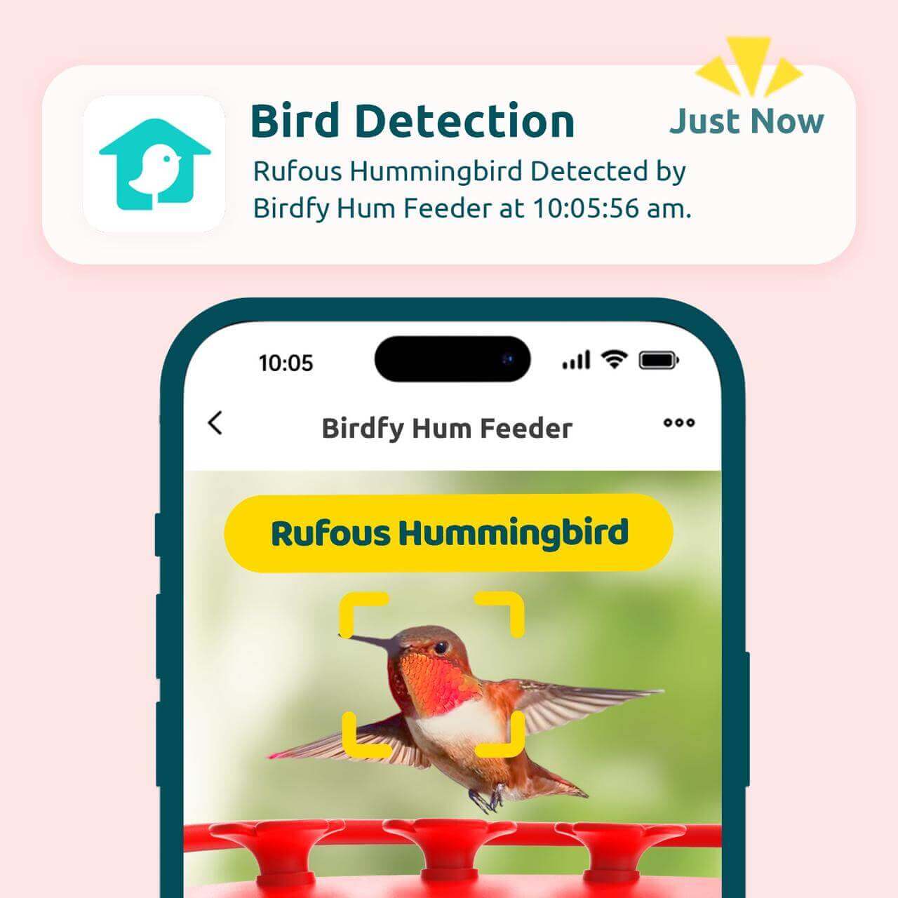 AI Bird Recognition Subscription Plans