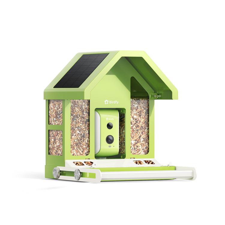 Birdfy Feeder Metal - Smart Metal Feeder with Camera