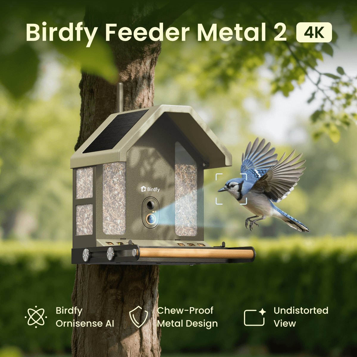 Birdfy Feeder Metal 2 4K - Smart Metal Feeder with Camera