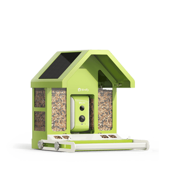 Birdfy Feeder Metal