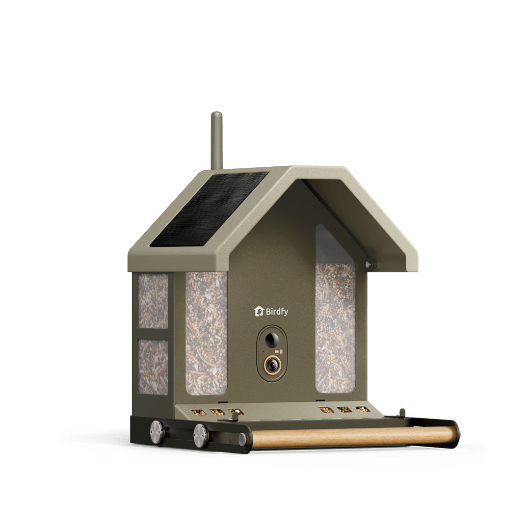 Birdfy Feeder Metal 2 4K - Smart Metal Feeder with Camera