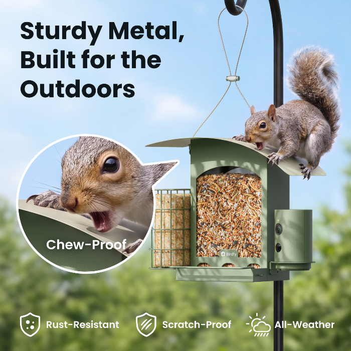 Birdfy Feeder Metal A - Smart Metal Feeder with Solar panel