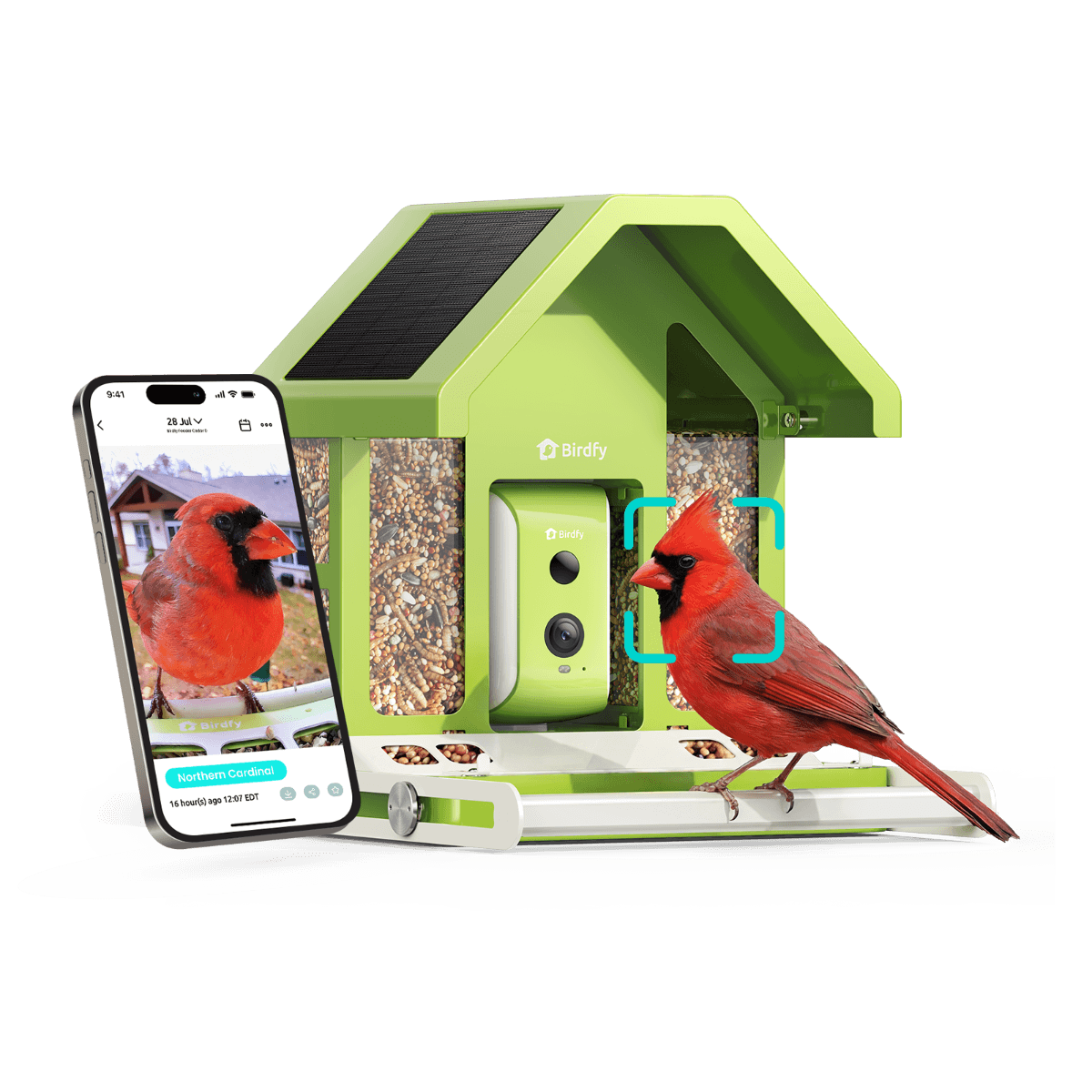 Birdfy Feeder Metal - Smart Metal Feeder with Camera