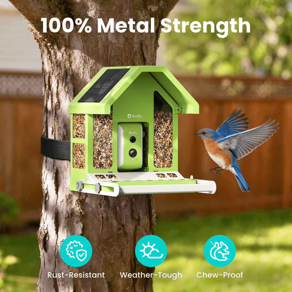 Birdfy Feeder Metal - Smart Metal Feeder with Camera