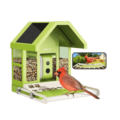 Birdfy Feeder Metal