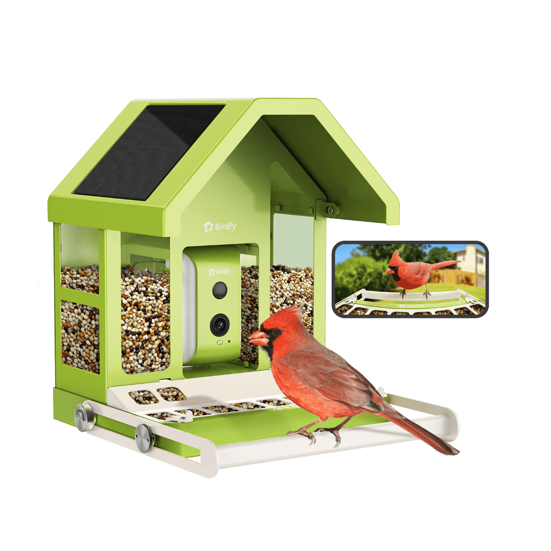 Birdfy Feeder Metal - Smart Metal Feeder with Camera