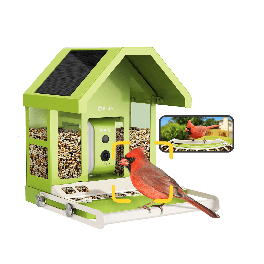 Birdfy Feeder Metal - Smart Metal Feeder with Camera