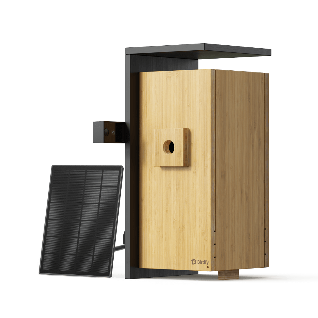 Birdfy Nest Duo - Smart Bird House with Dual Cameras